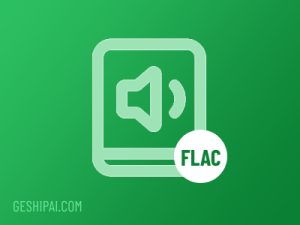 电脑文件格式百科大全.FLAC(音频格式)-格式派