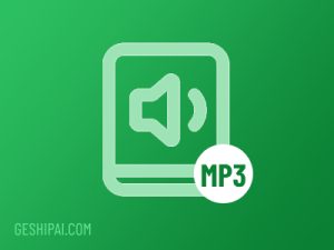 电脑文件格式百科大全.MP3(音频格式)-格式派